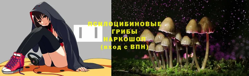 Галлюциногенные грибы MAGIC MUSHROOMS  Комсомольск-на-Амуре 